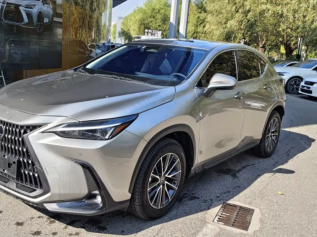 Lexus NX New Energy — миниатюра 2