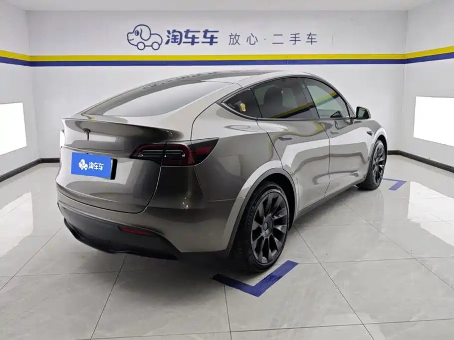 Tesla Model Y — миниатюра 3