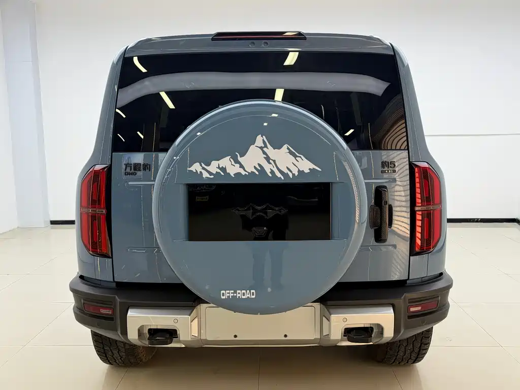 FANG CHENG BAO LEOPARD 5