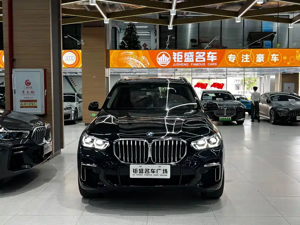 BMW X5 — миниатюра 2