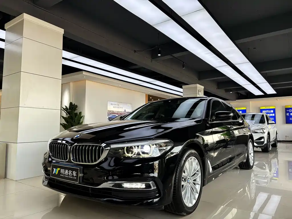 BMW 5 Series 5 2019 525Li Luxury