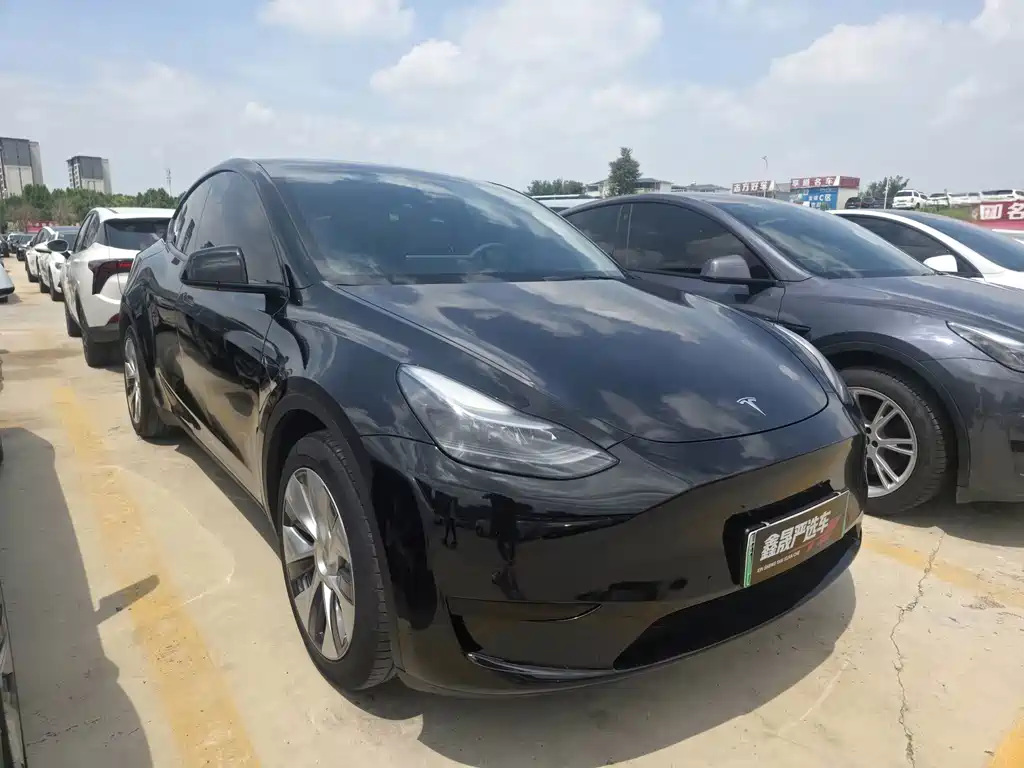 Tesla Model Y — миниатюра 3