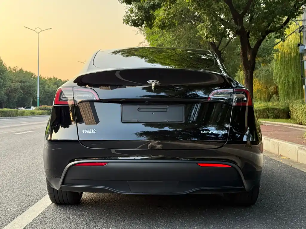 Tesla Model Y — миниатюра 4