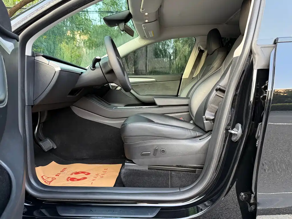 Tesla Model Y — миниатюра 11