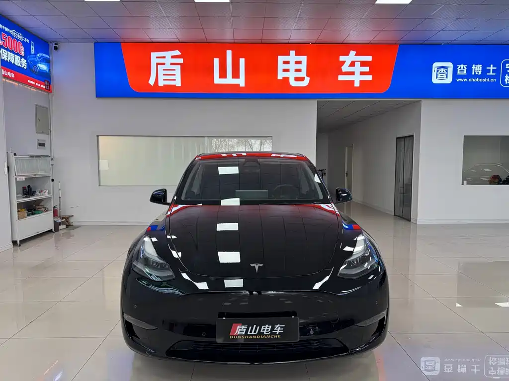 Tesla Model Y — миниатюра 2