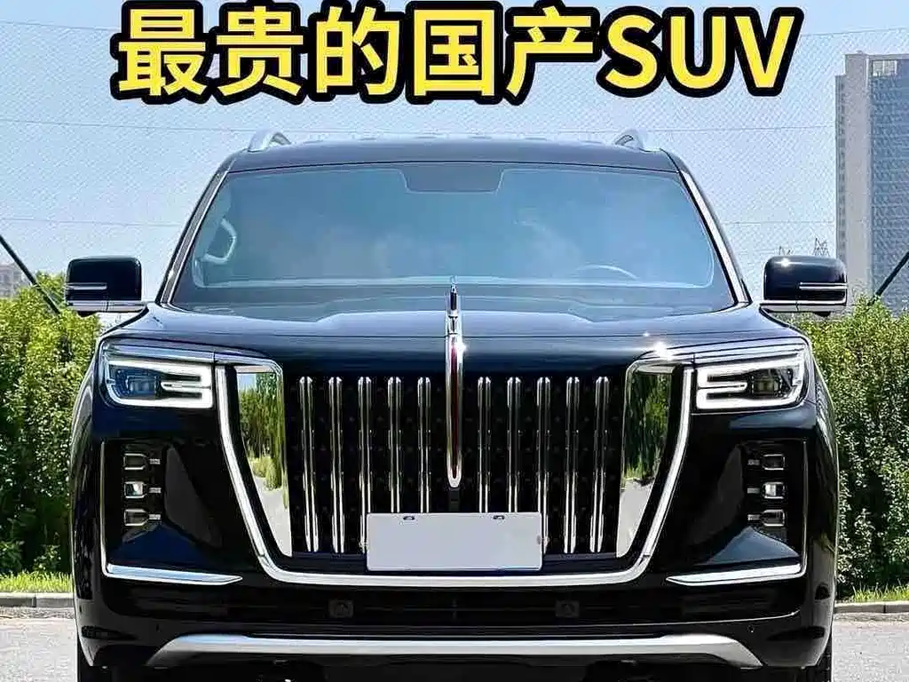 Hongqi Hongqi Golden Sunflower Guoyao — миниатюра 14