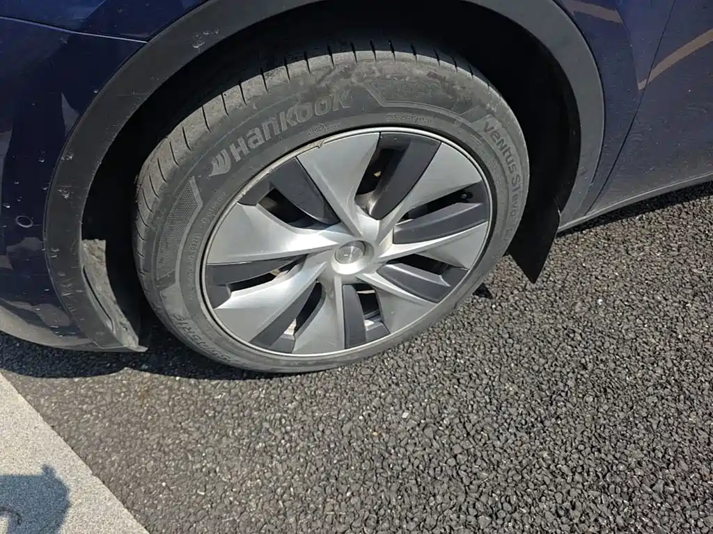 Tesla Model Y — миниатюра 23
