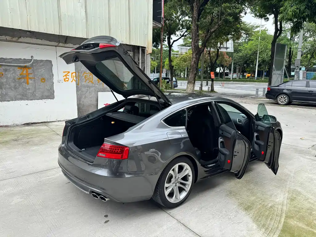 Audi S5 — миниатюра 24