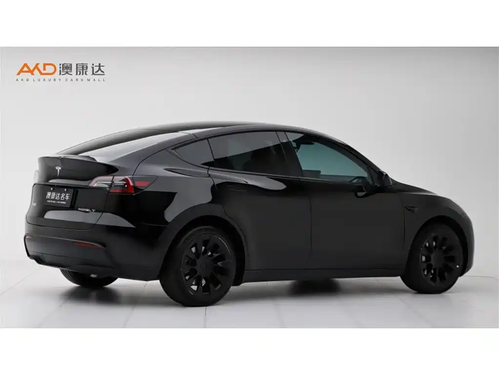 Tesla Model Y — миниатюра 3