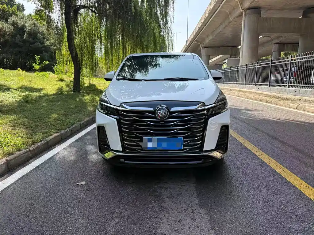 Buick GL8 — миниатюра 2
