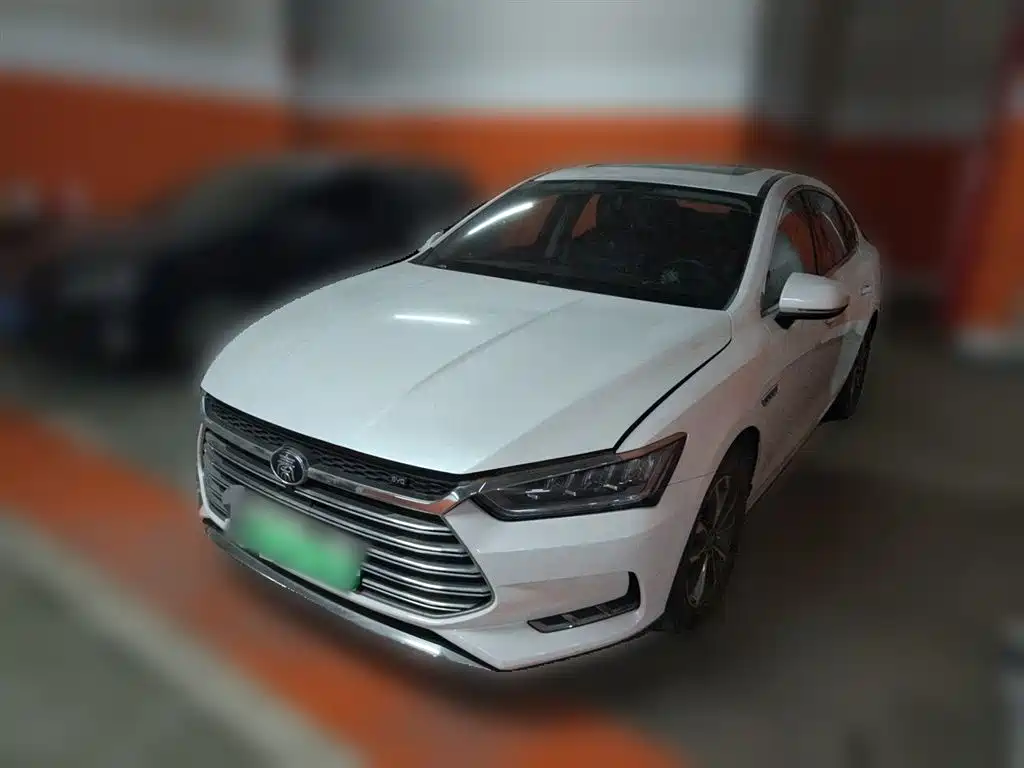 Byd Qin Pro NEV 2020