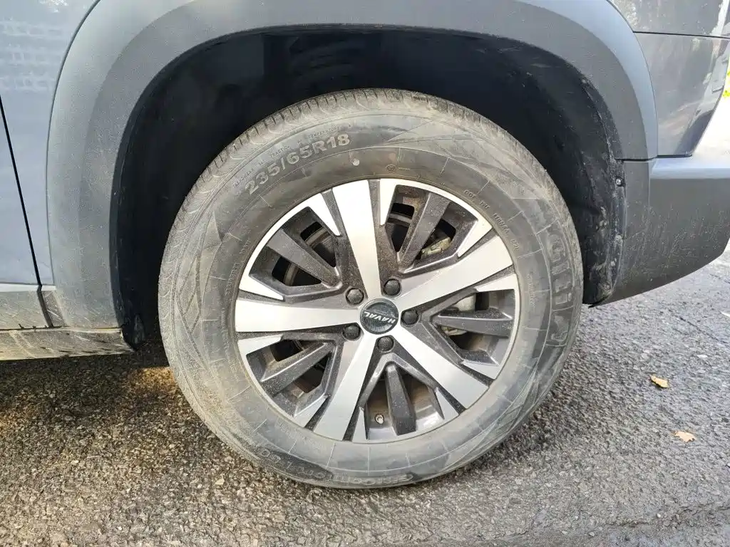 Haval Big Dog — миниатюра 24