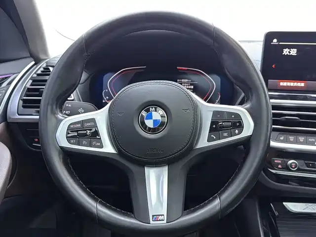 BMW X3 — миниатюра 8
