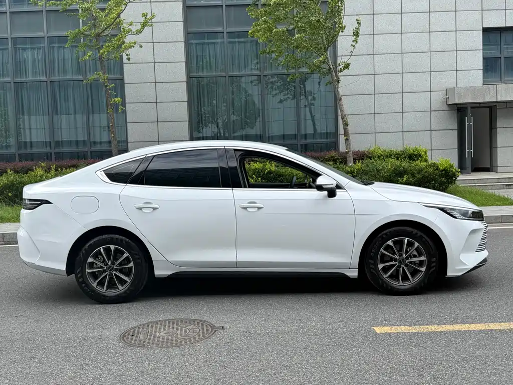 BYD Destroyer 05 — миниатюра 10