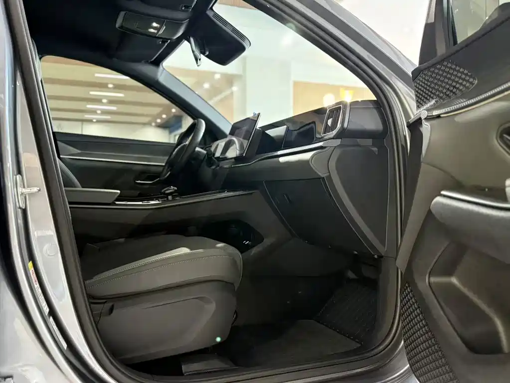 BYD Pro New Energy — миниатюра 6
