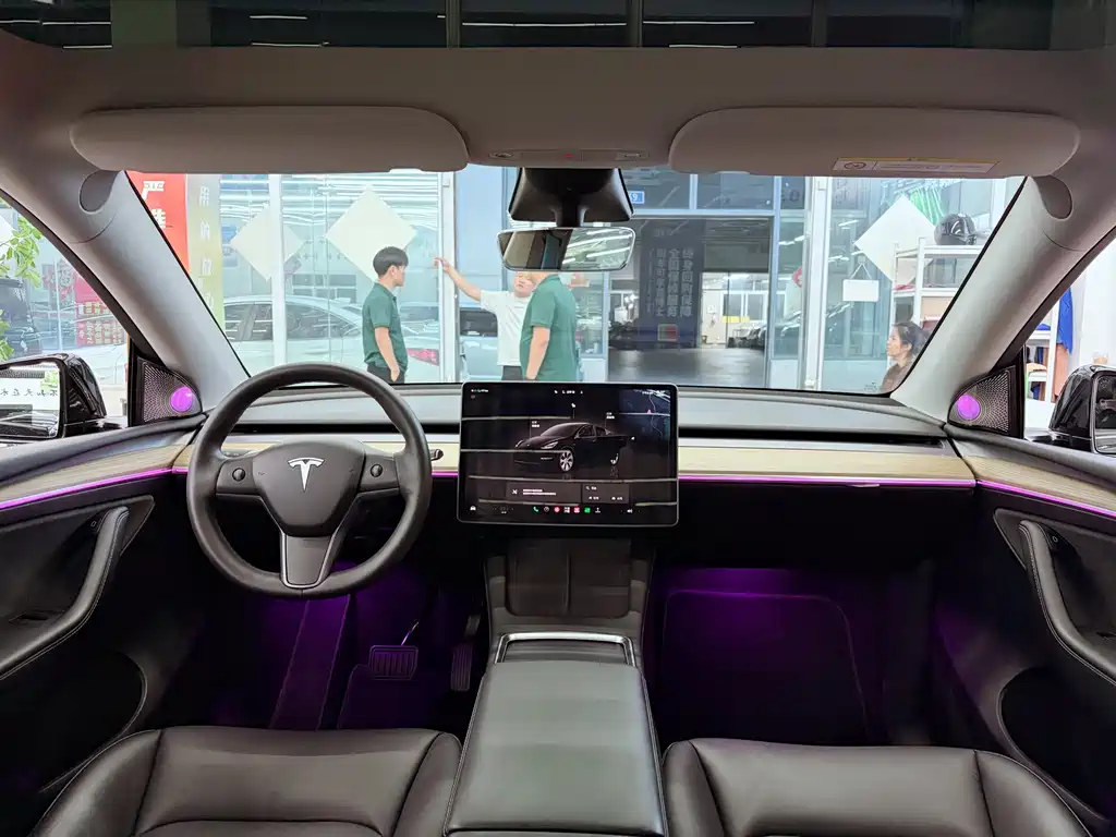 Tesla Model Y — миниатюра 10