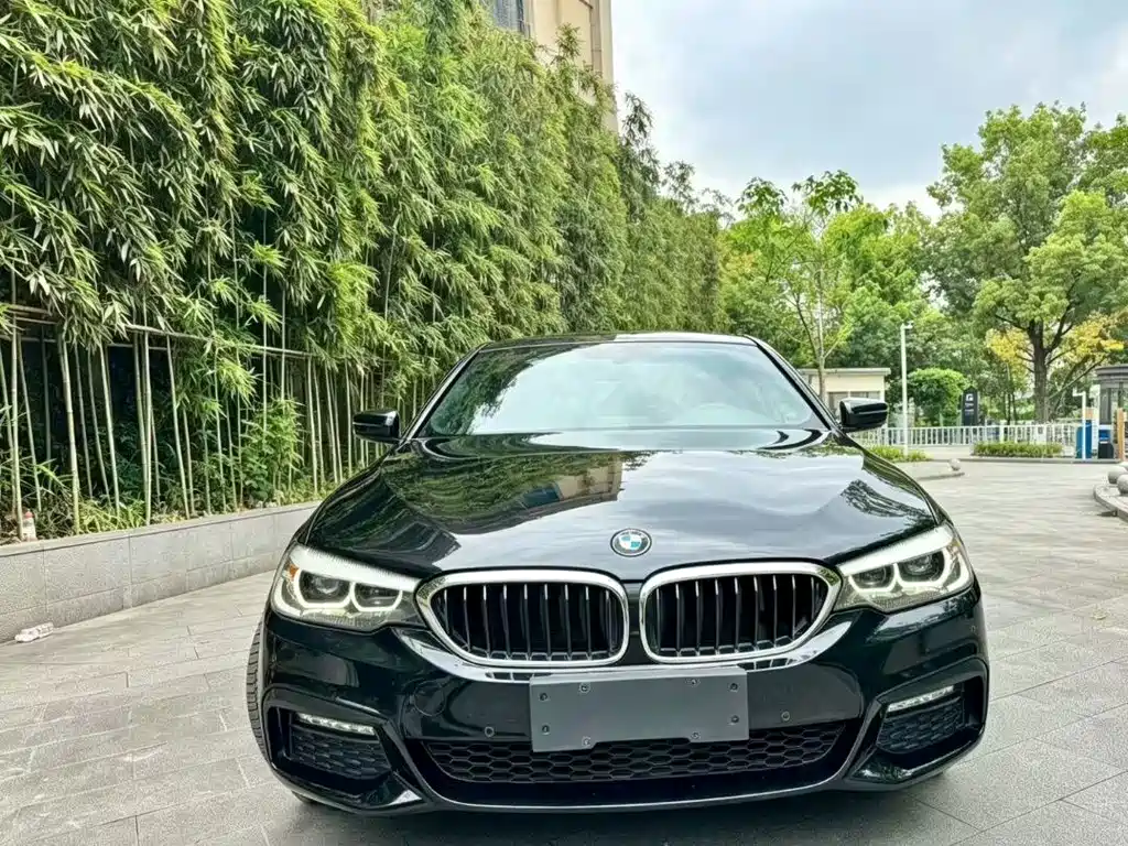 BMW 5 Series — миниатюра 2