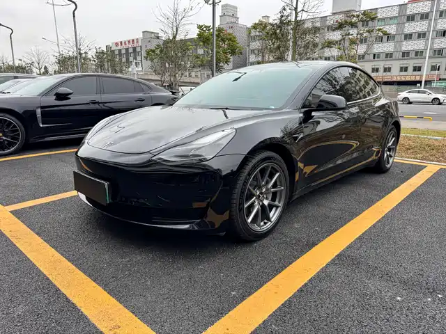 TESLA MODEL 3 2021