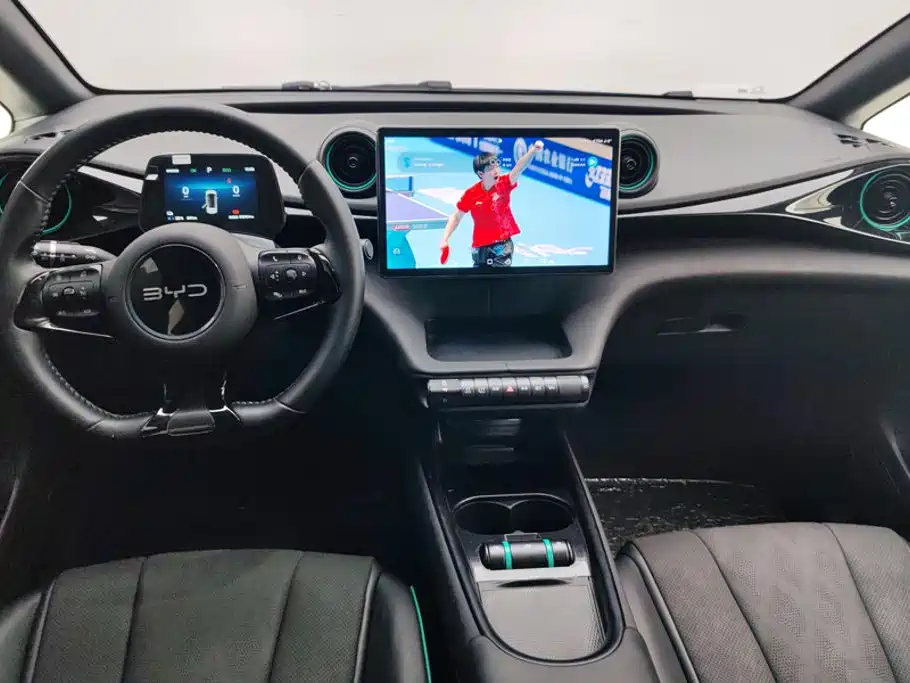 BYD Dolphin — миниатюра 12