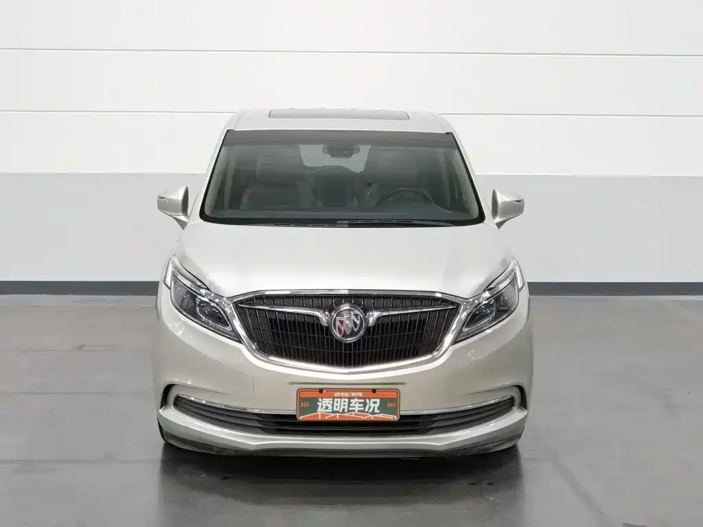 Buick GL8 — миниатюра 3