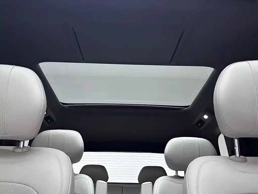 Denza Zoom N8L — миниатюра 6