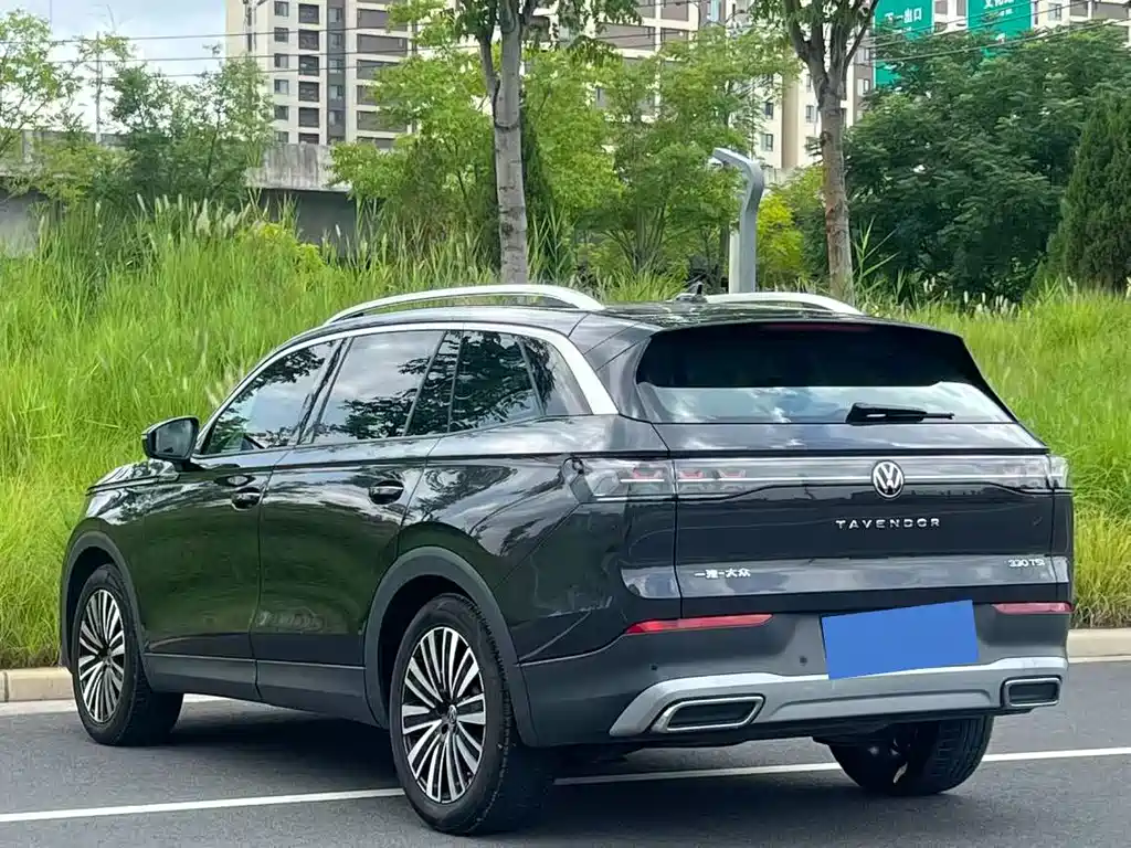 Volkswagen Tavendor — миниатюра 9