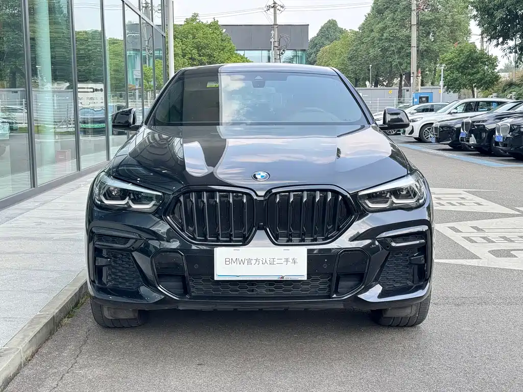 BMW X6 — миниатюра 2