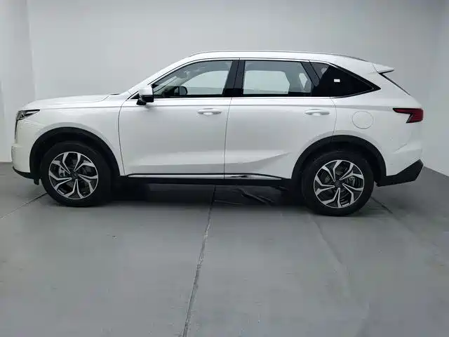 HAVAL XIAOLONG MAX