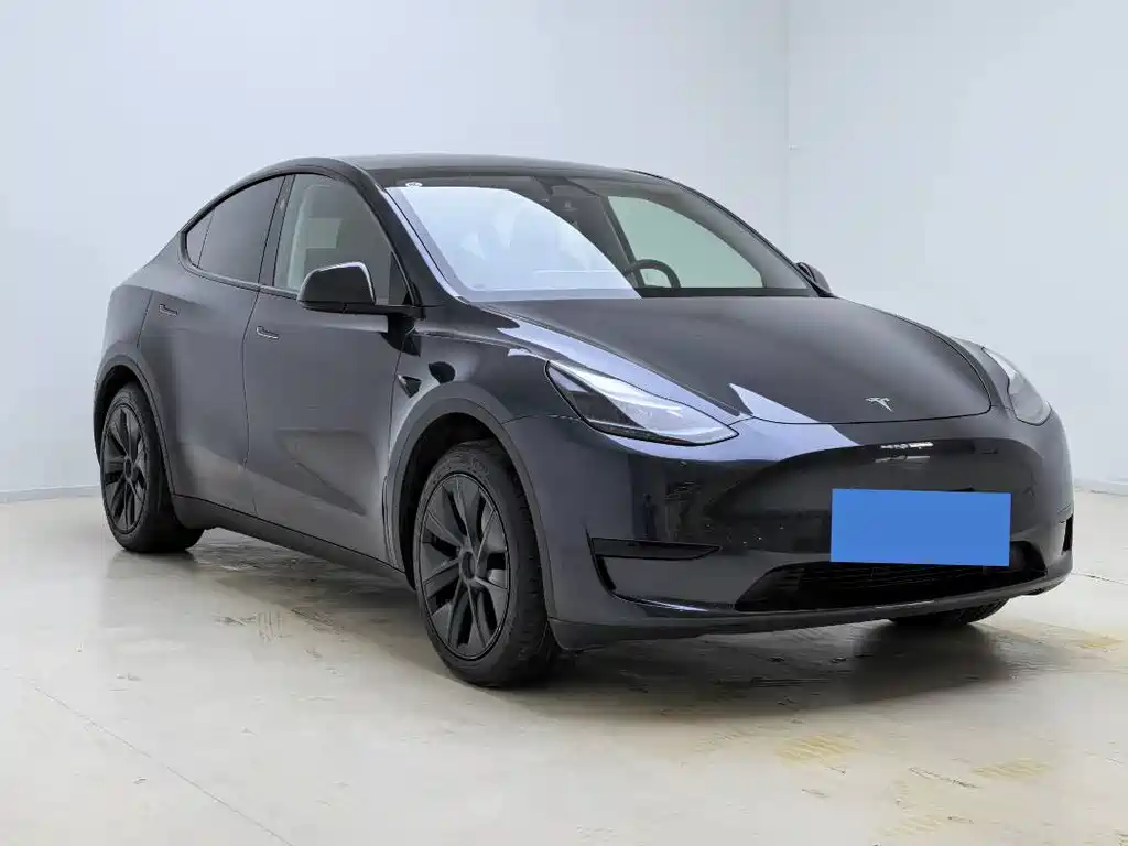 Tesla Model Y — миниатюра 12