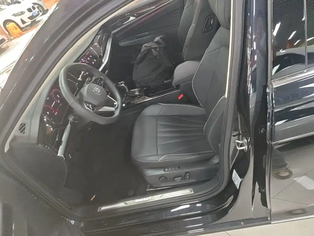 Volkswagen Passat — миниатюра 15