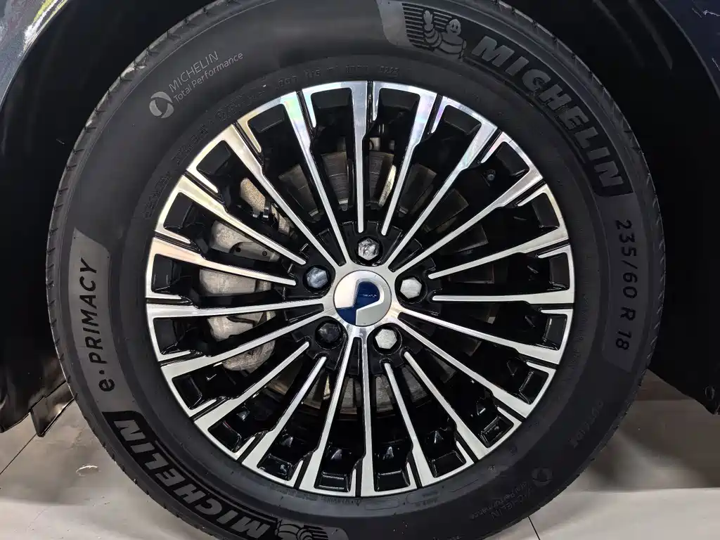 Denza Denza D9 — миниатюра 13