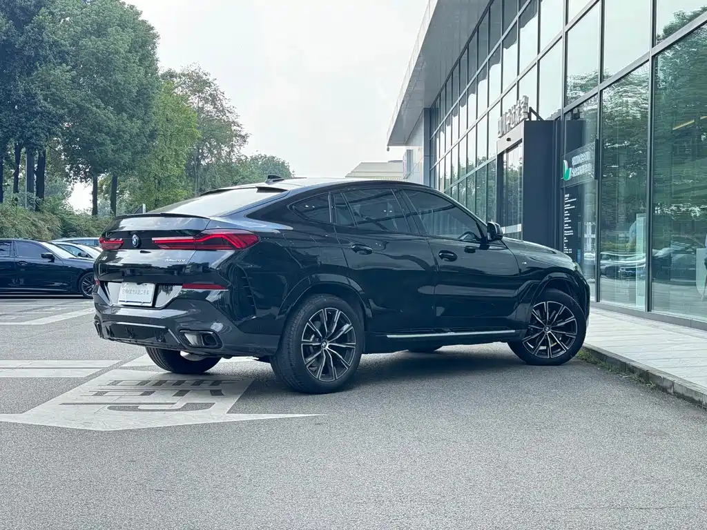 BMW X6 — миниатюра 7
