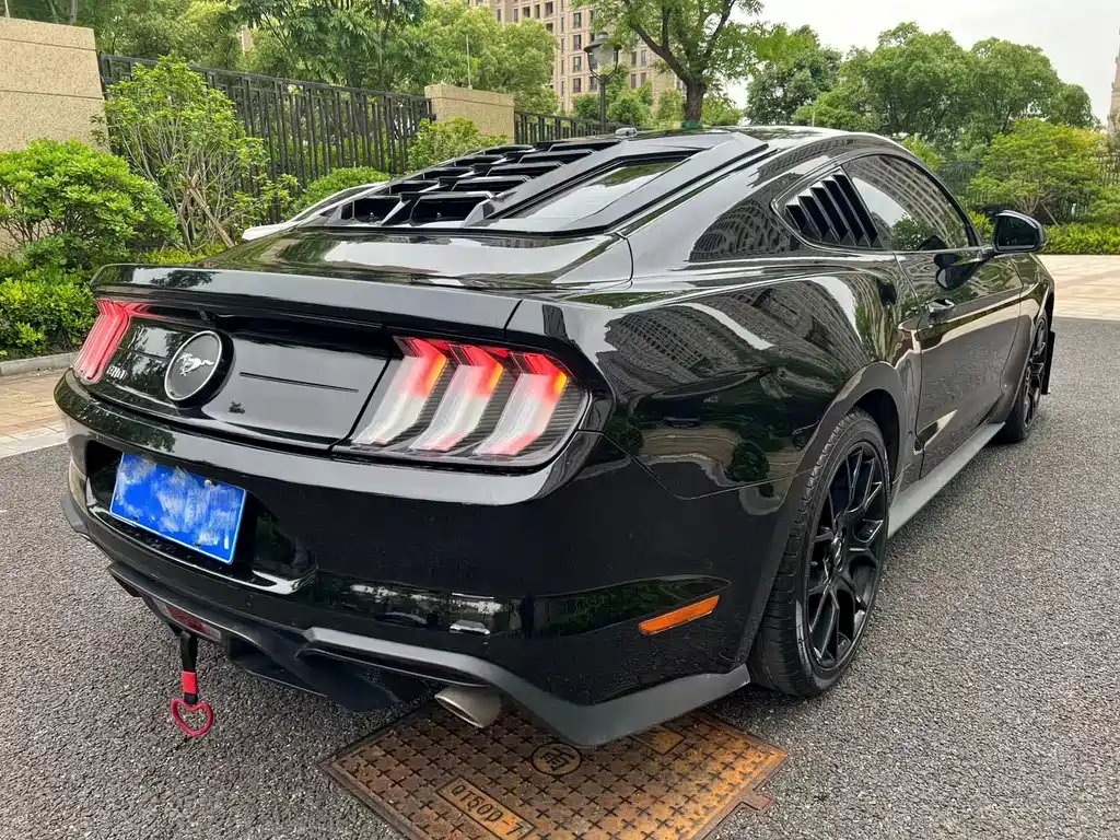 Ford Mustang — миниатюра 3