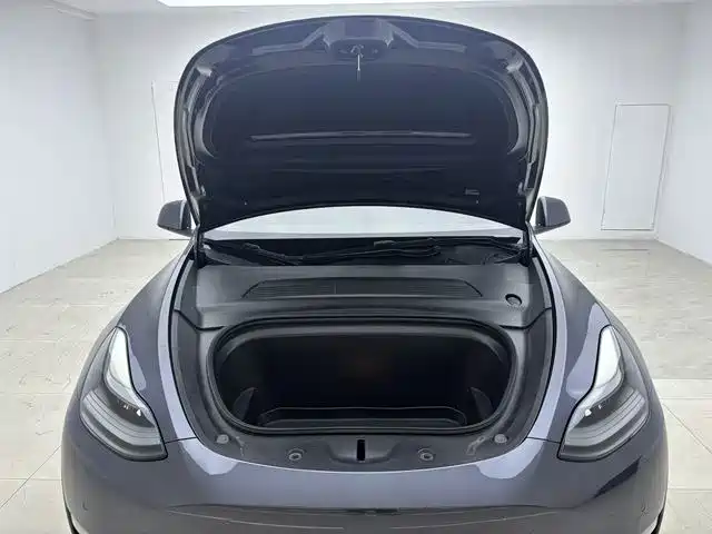 Tesla Model Y — миниатюра 18