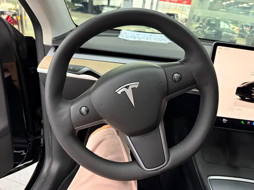 Tesla Model Y — миниатюра 5