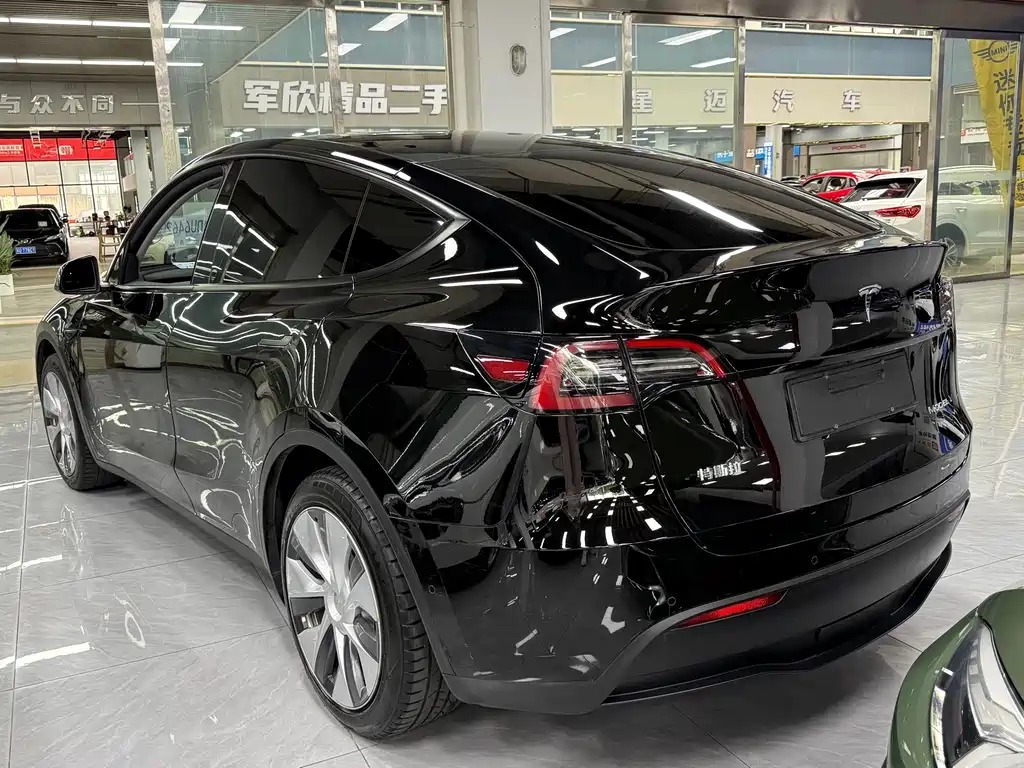 Tesla Model Y — миниатюра 15