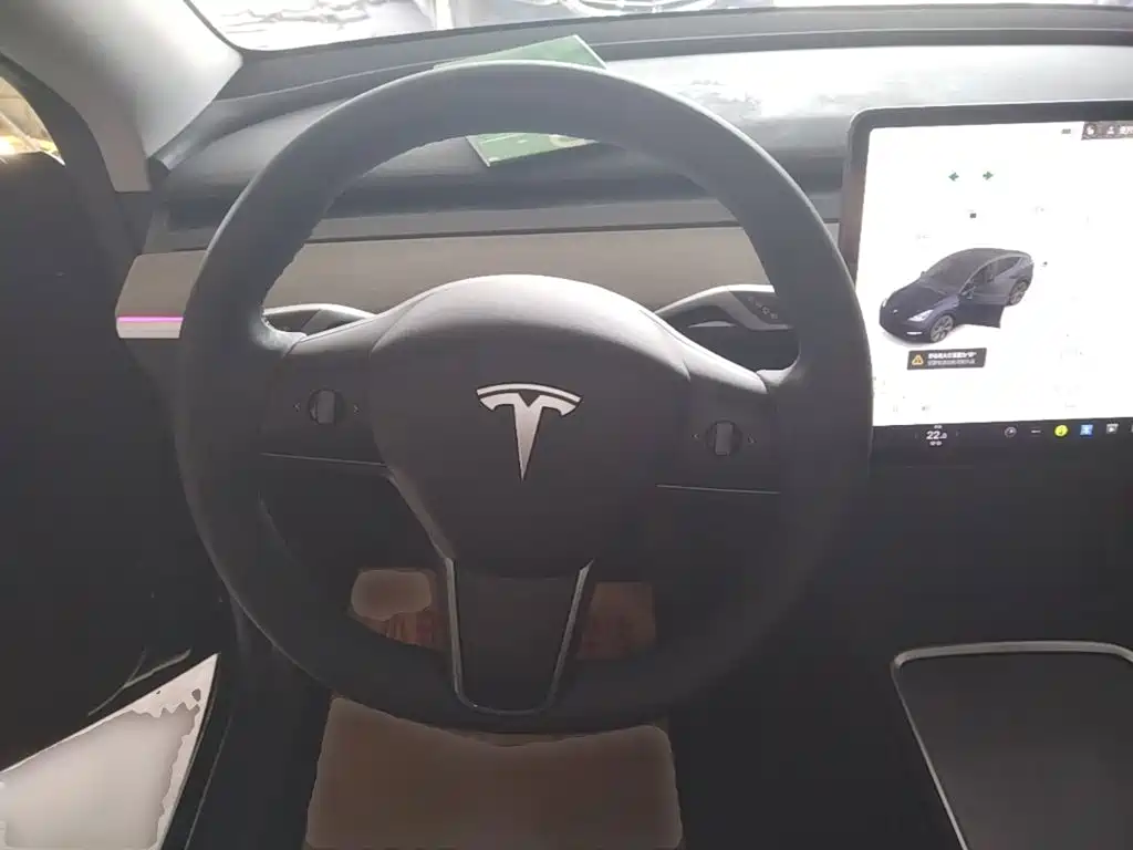 Tesla Model Y — миниатюра 11
