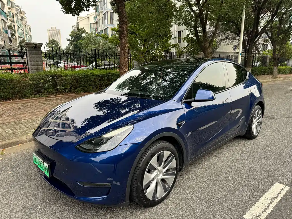 Tesla Model Y — миниатюра 2