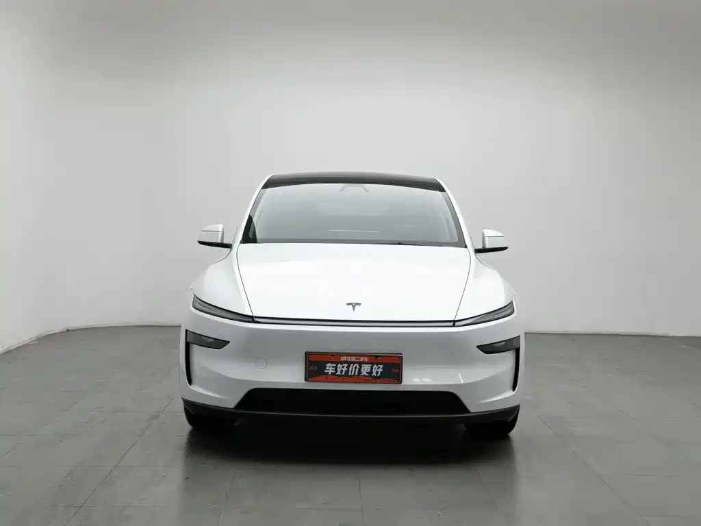 Tesla Model Y — миниатюра 3