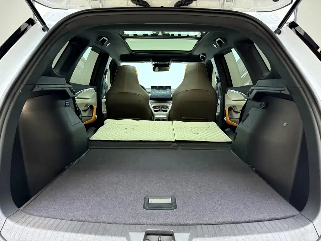 BYD Pro New Energy — миниатюра 3