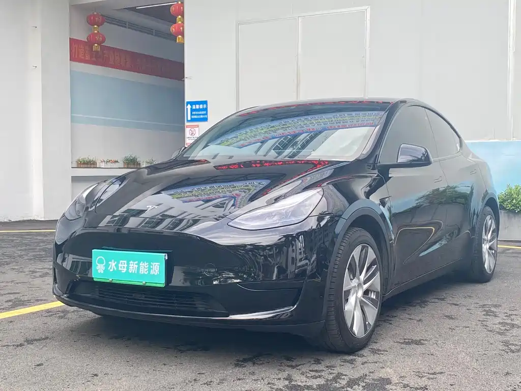 Tesla Model Y — миниатюра 2