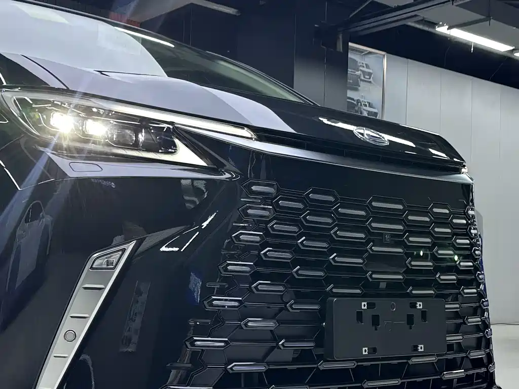 Lexus LM 2025 500h мест