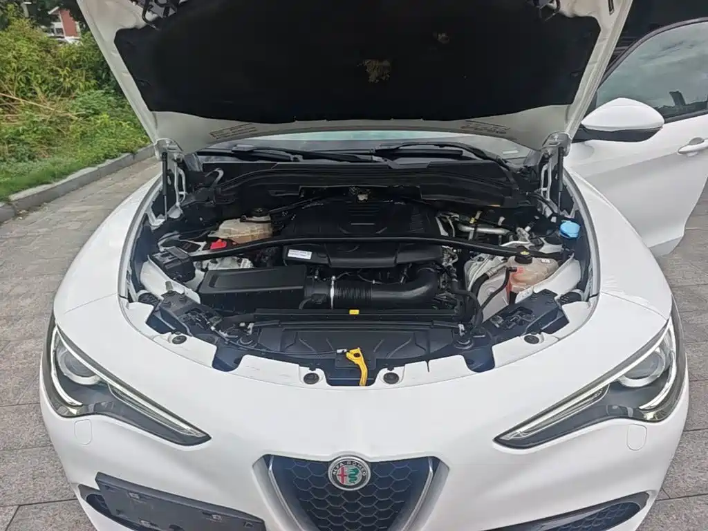 Alfa Romeo Stelvio — миниатюра 20