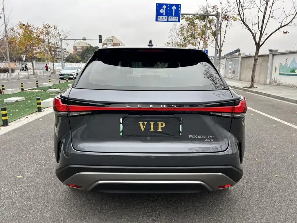 LEXUS RX NEW ENERGY
