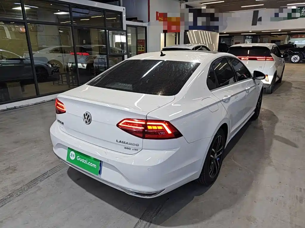 Volkswagen Lamando — миниатюра 7