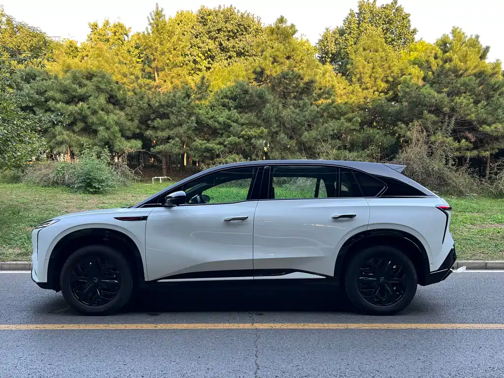 Hongqi Hongqi Tiangong 08 — миниатюра 7