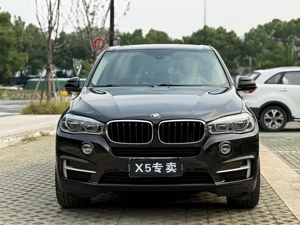BMW X5 (Import) — миниатюра 2