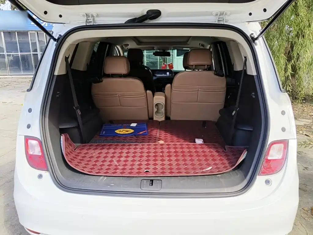 Buick GL6 — миниатюра 19