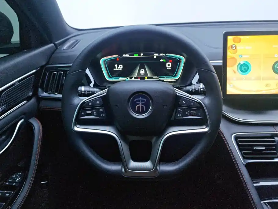 BYD PLUS — миниатюра 15