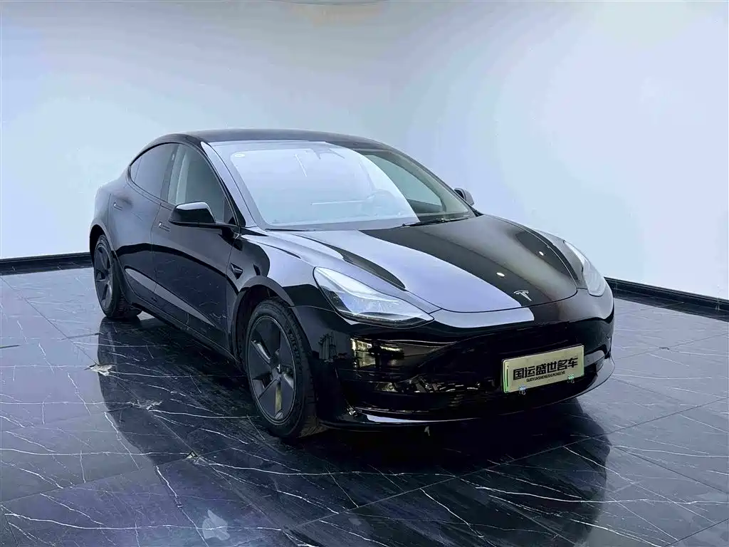 Tesla Model 3 — миниатюра 3